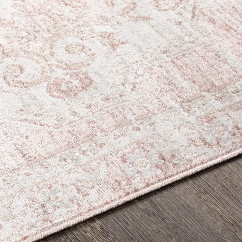 Livabliss St Tropez Updated Traditional Medallion Area Rug.