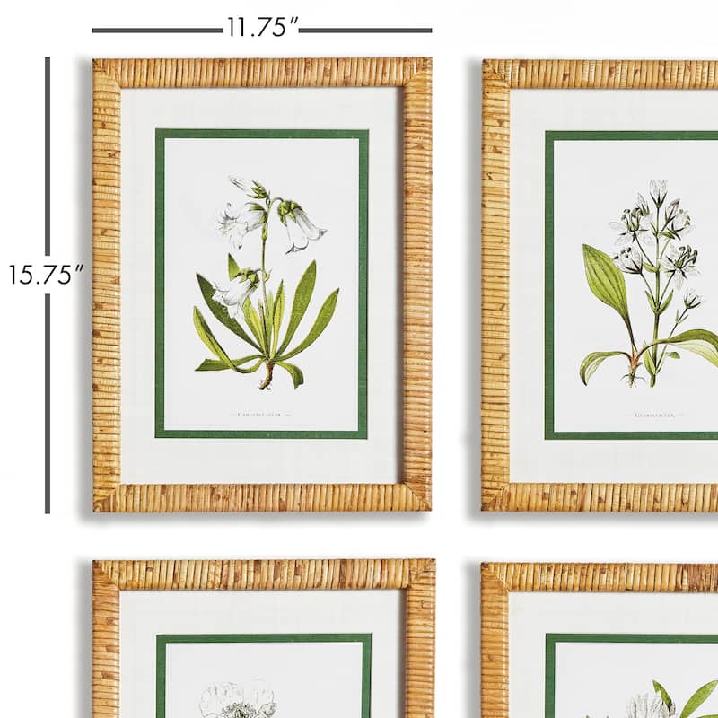 white floral study, set of 4
