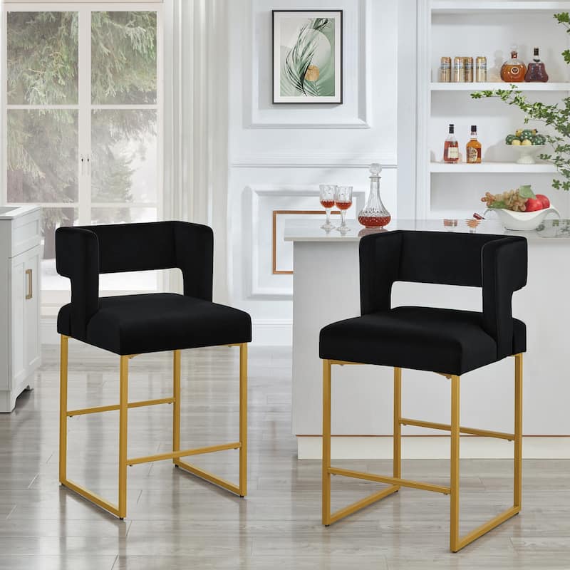 Modern Fashion Counter Height Bar Stools Set of 2