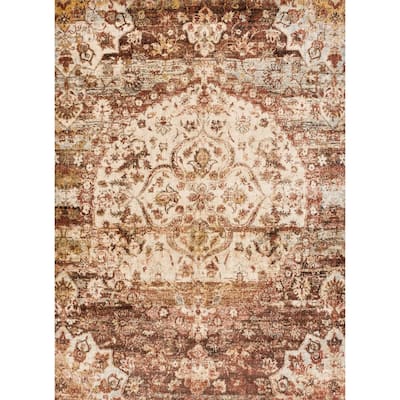 Alexander Home Contessa Distressed Transitional Medallion Rug