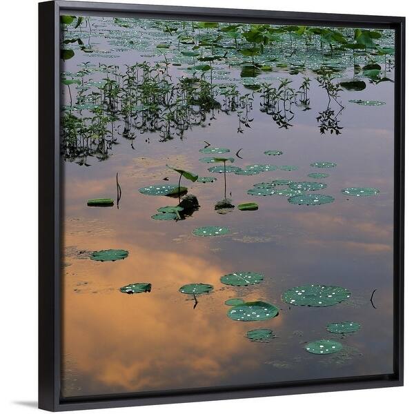 Shop Lily Pads On Loakfoma Lake Sky Reflection Noxubee National Wildlife Refuge Mississippi Multi Overstock 25531246