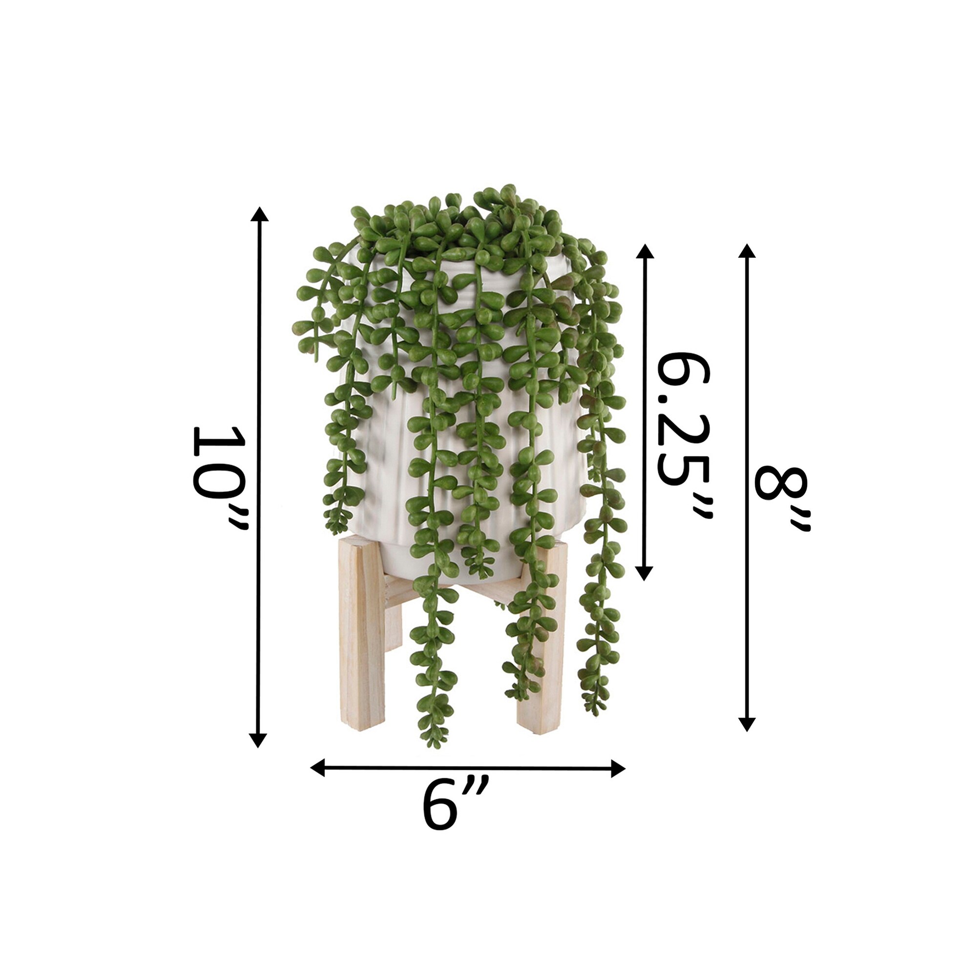 Artificial Plant STRING OF PEARLS in Ceramic Pot W/ Wood Stand