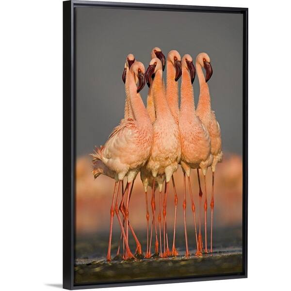 Shop Flock Of Eight Flamingos Wading In Water Lake Nakuru Kenya