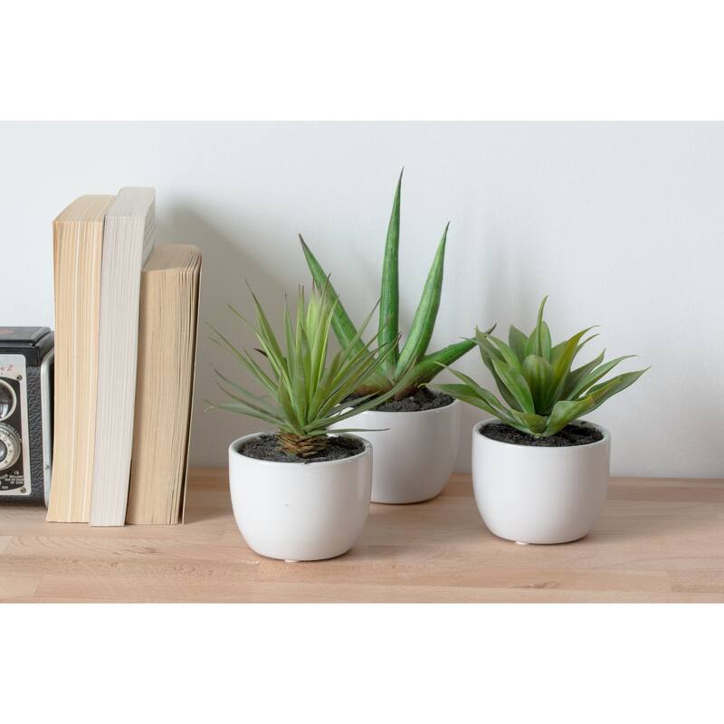 Decorative Agave Plant Set of 3 Modern Home Decor Living Room, Office, Tabletop Plants - 0.71ft.