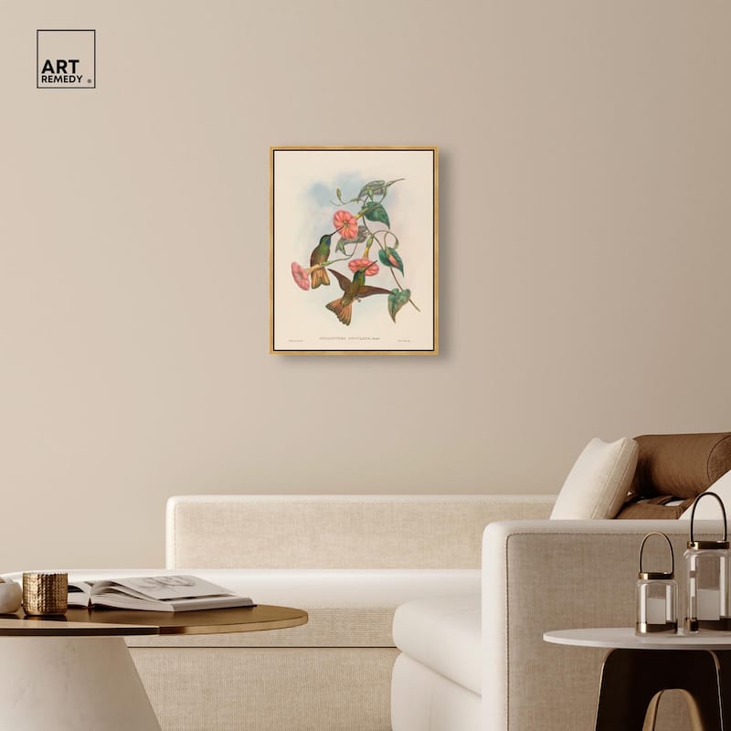Gould's Hummingbirds Canvas by Art Remedy