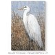 preview thumbnail 2 of 8, White Heron II -Premium Gallery Wrapped Canvas