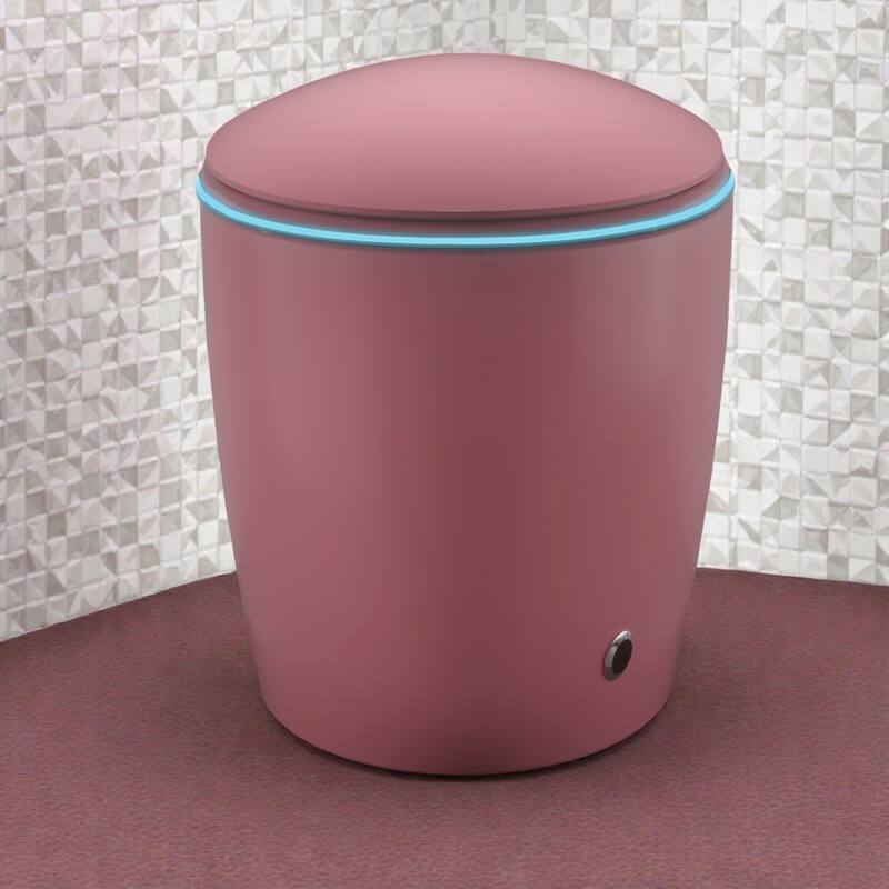 Smart Toilet with Built In Bidet. Auto Open Close Seat. Foot Sensor Flush. Heated Seat. Warm Water Dryer