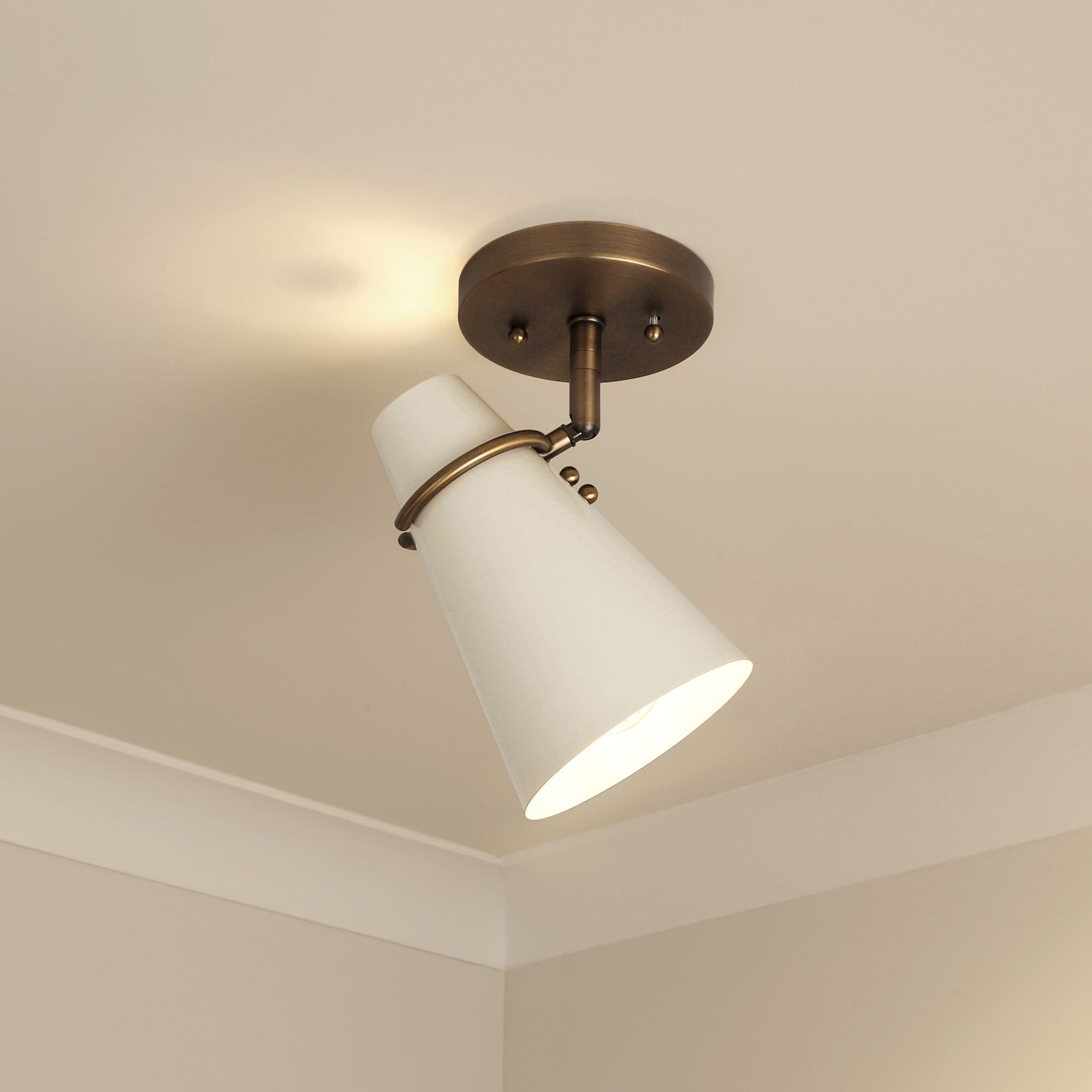 Golden Lighting Reeva 1-light Semi-Flush Mount in Modern Brass and Matte Black shade