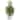 20" Cedar Pine "Natural Look" Tree in Decorative Planter - Green