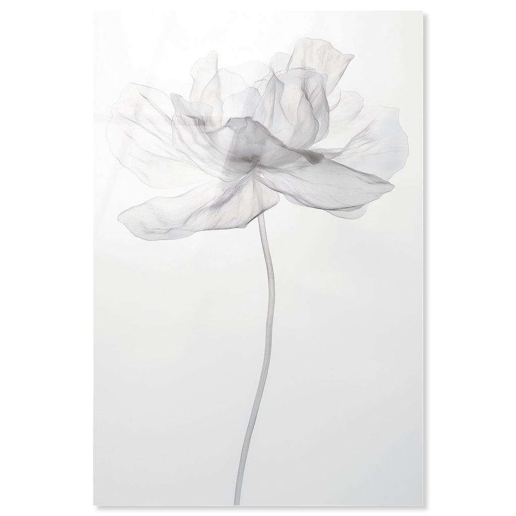 Fragile Beauty II Acrylic by Art Remedy, Ready to Hang