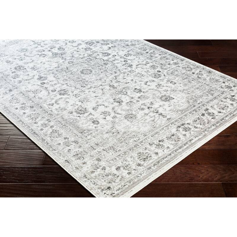 Livabliss Antonie Distressed Updated Traditional Area Rug