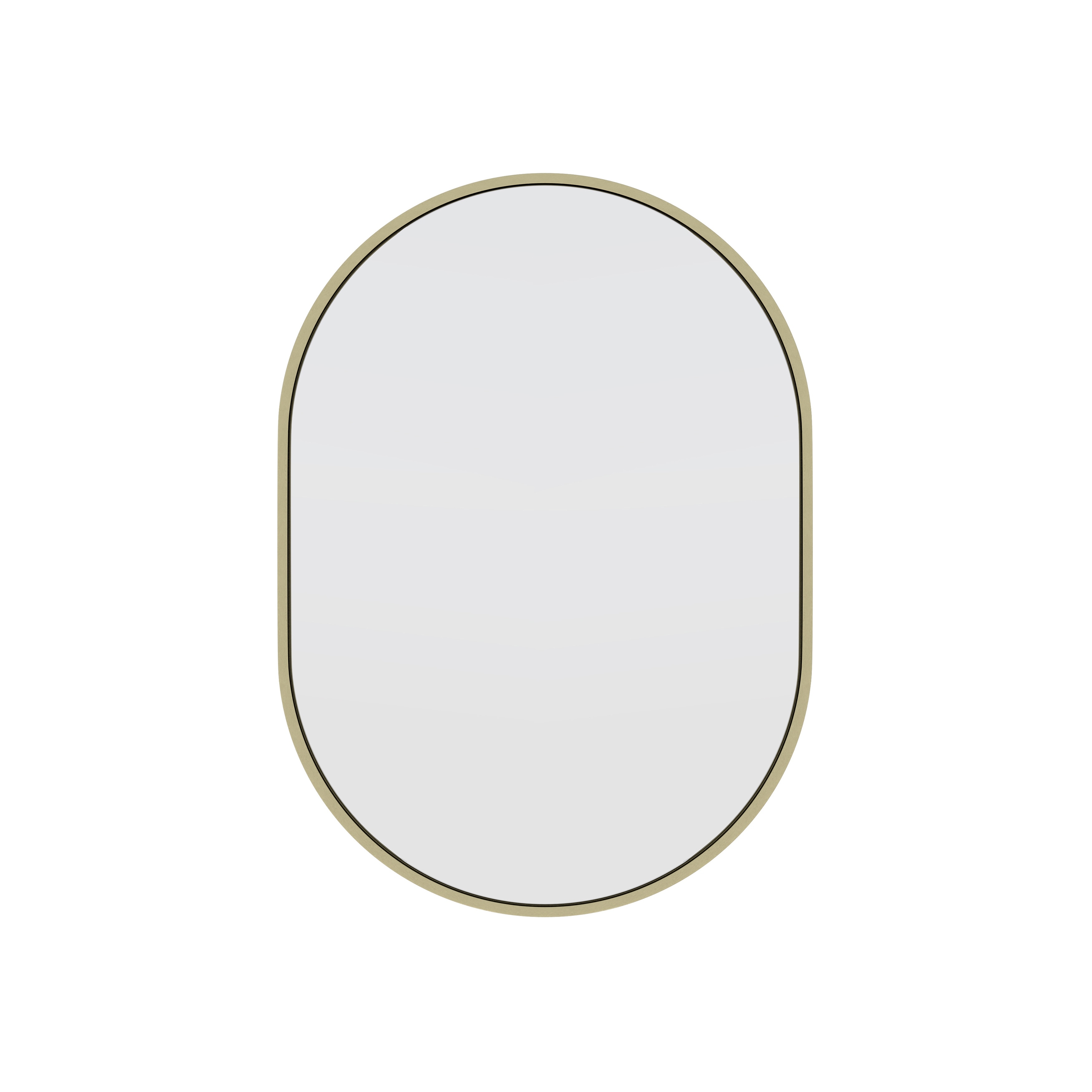 Glass Warehouse 28 in. H x 20 in. W Pill Shape Stainless Steel Framed Mirror