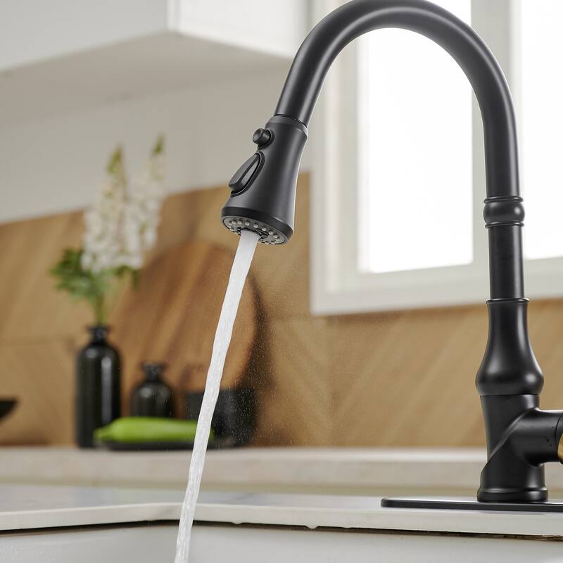 WIZ Single-Handle Pull-Down Sprayer 3 Spray High Arc Kitchen Faucet