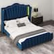Option Blue
