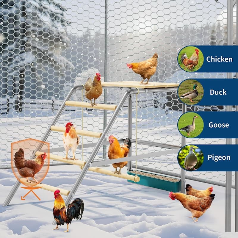 Chickens Roosting Bars for Coop