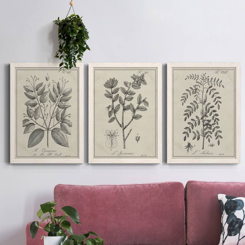 Antique Black & White Botanical VII-Premium Framed Canvas - Ready to Hang - Multi-Color