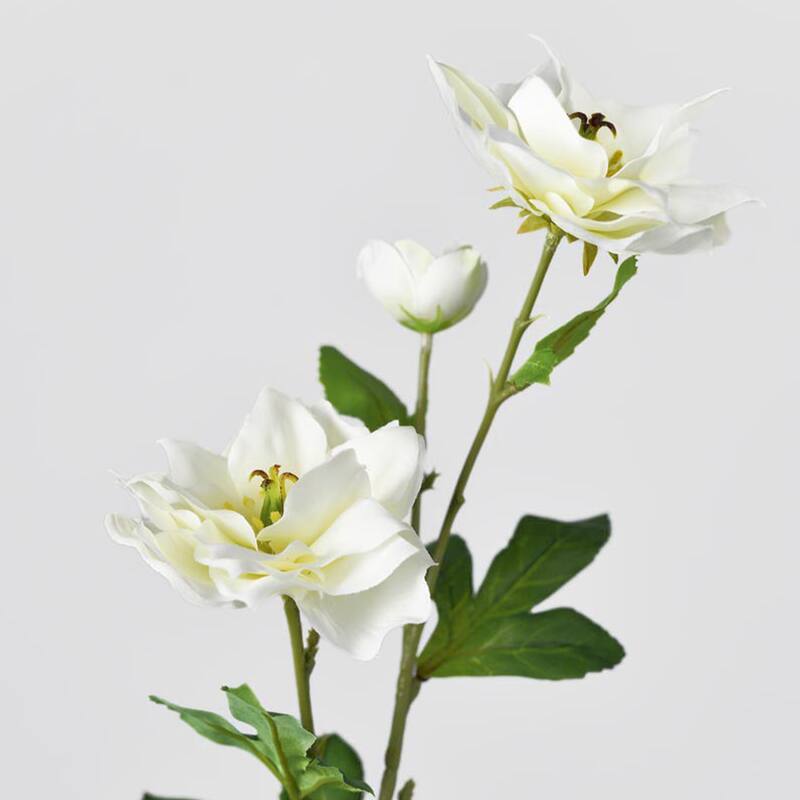 Silk Decorative Artificial Persian Buttercup(Pack of 1 Branch)