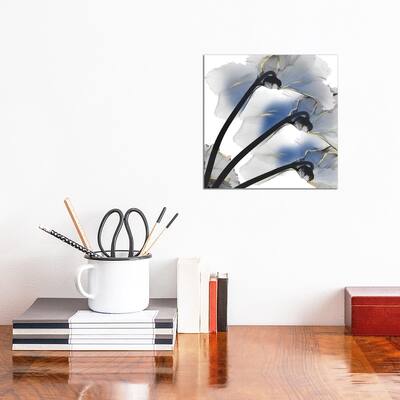 iCanvas "Indigo Luster Cyclamen I" by Albert Koetsier Canvas Print