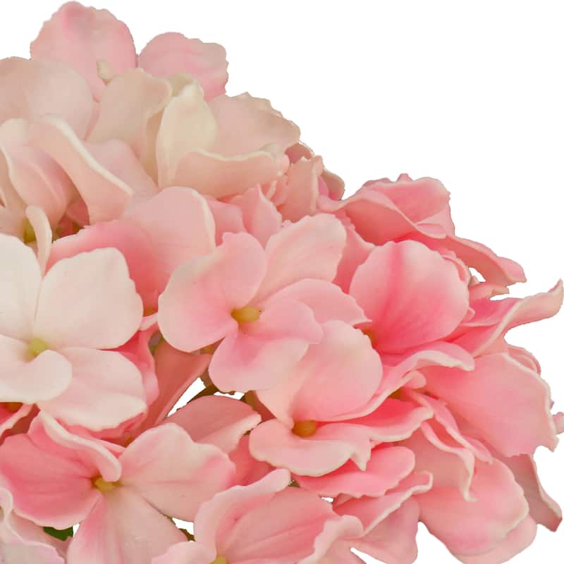 National Tree Company 8 in. Pink Hydrangea Bouquet in Glass Vase