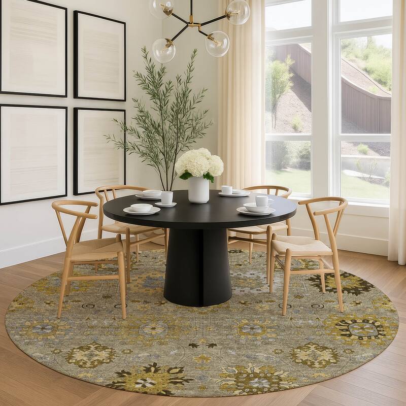 Machine Washable Indoor/ Outdoor Vintage Traditional Chantille Rug