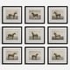 preview thumbnail 1 of 4, Uttermost Equine Dynasty Framed Prints, Set of 9