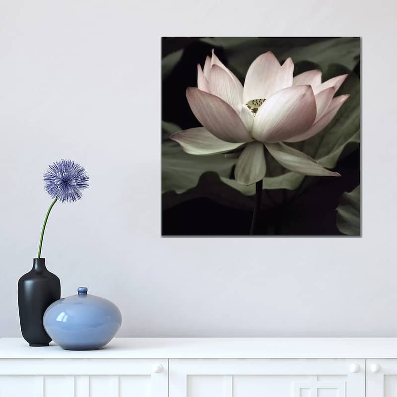 iCanvas "The Lotus I" by Andy Neuwirth Canvas Print - 18x18x1.5