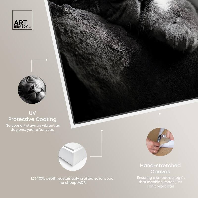 Resting Predator Canvas by Art Remedy
