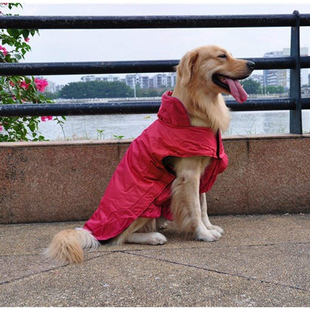 Shop Agptek Waterproof Nylon Dog Winter Coat Jacket For Large Dogs