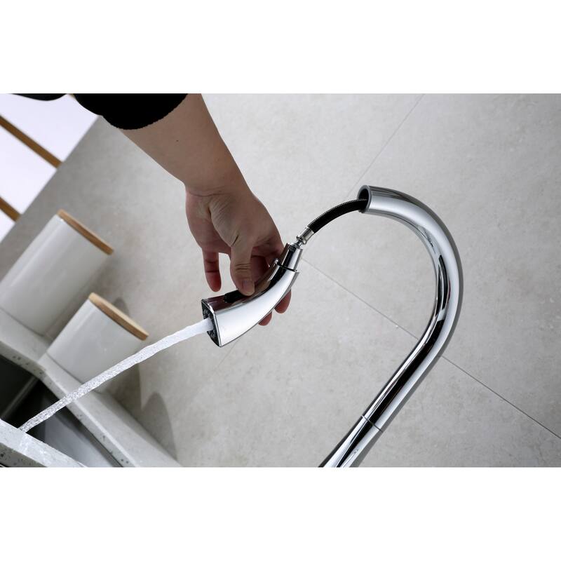 Ultra Faucets Quest Collection Single-Handle Kitchen Faucet With Pull-Down Spray