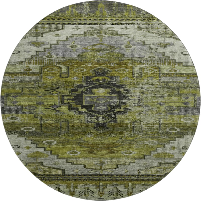 Premium Washable Super Soft Global Traditional Mayfield Rug