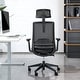 preview thumbnail 8 of 40, Ergonomic Mesh Executive Chair Home Office Chair with Lumbar Support, Headrest