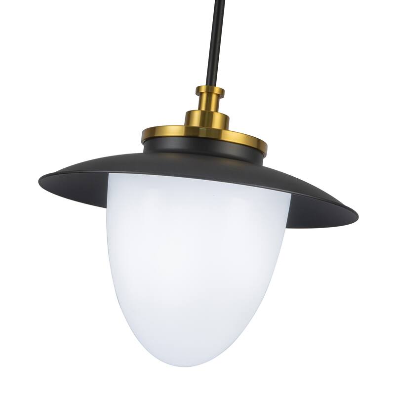 Artcraft Dahlia Pendant Light