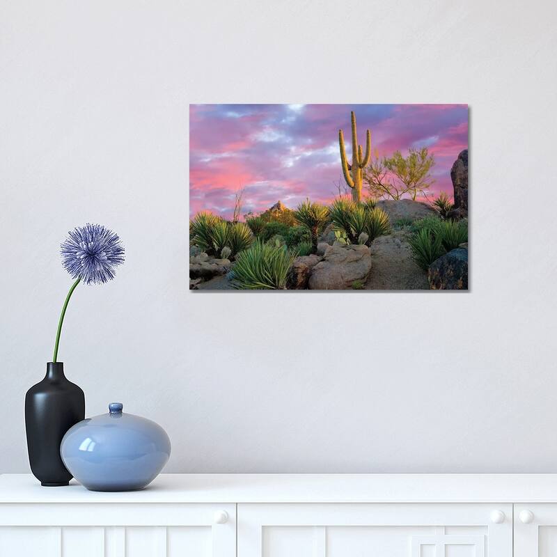 iCanvas "Cactus Garden Sunrise" by Dennis Frates Canvas Print - 12x18x1.5