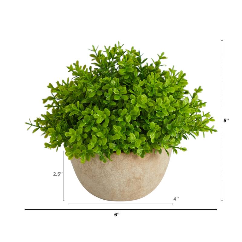 5" Boxwood Artificial Plant in Decorative Planter