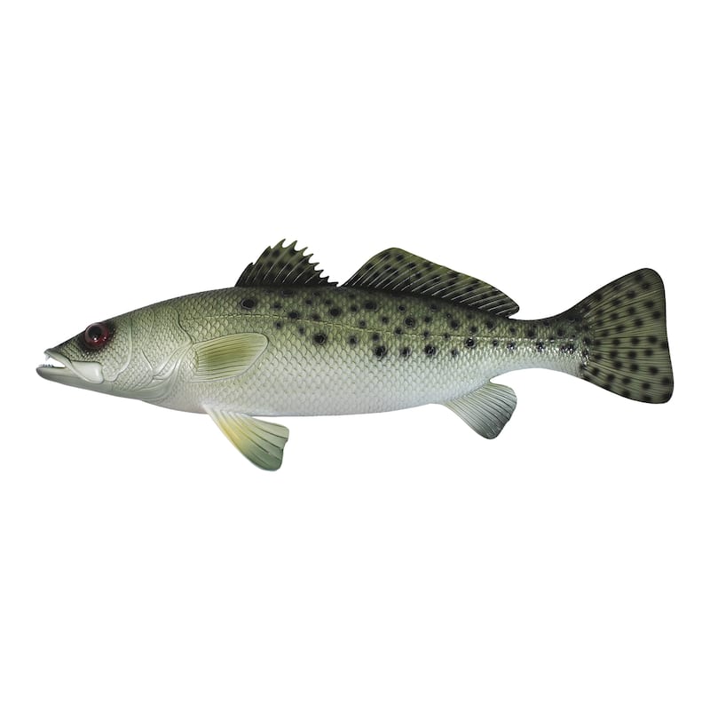 Spotted Sea Trout Replica Nautical Saltwater Fishing Wall Decor 28 Inches - Multi