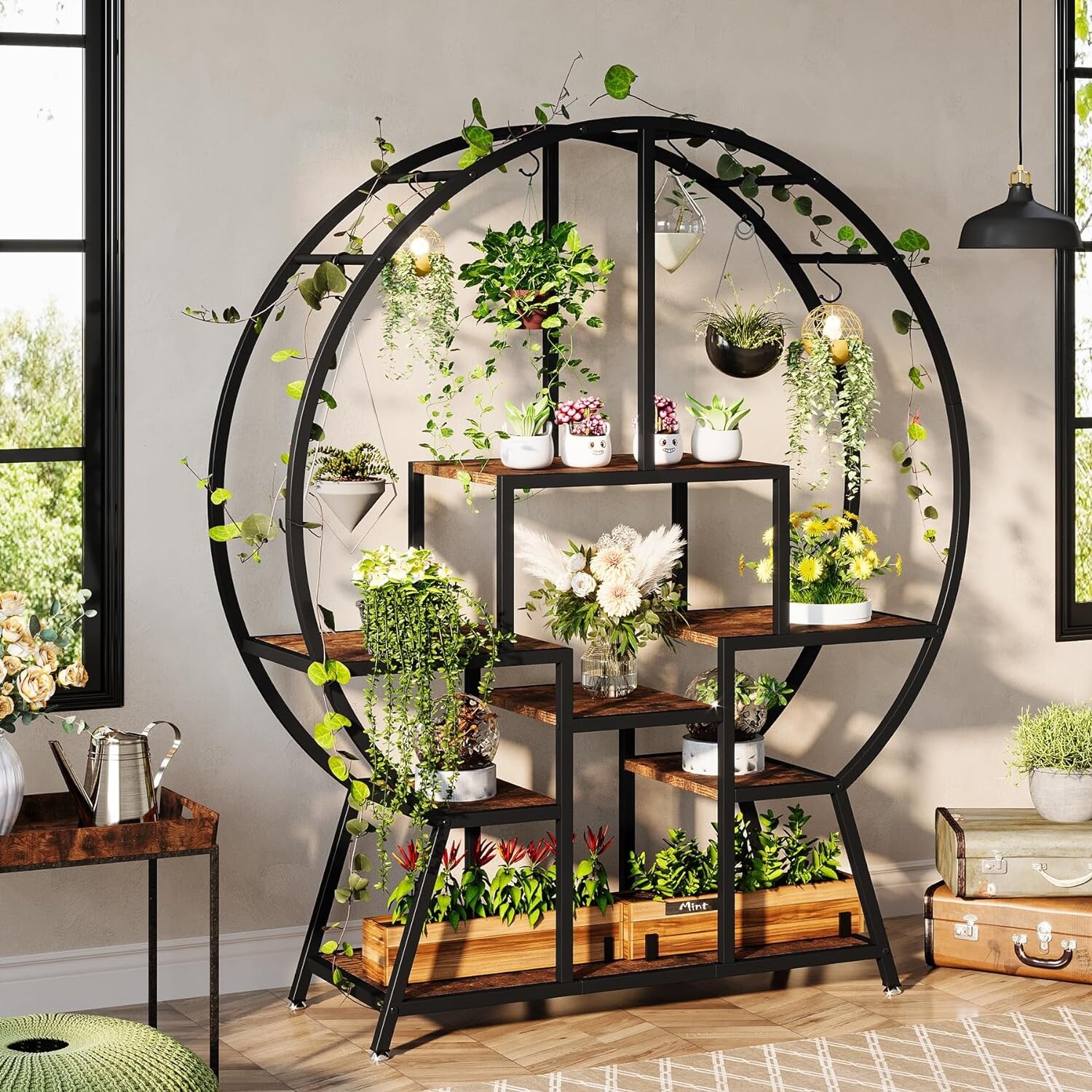 ficus lyrata indoor plant care Ficus lyrata HydroCare® Indoor Plants - Easy Care