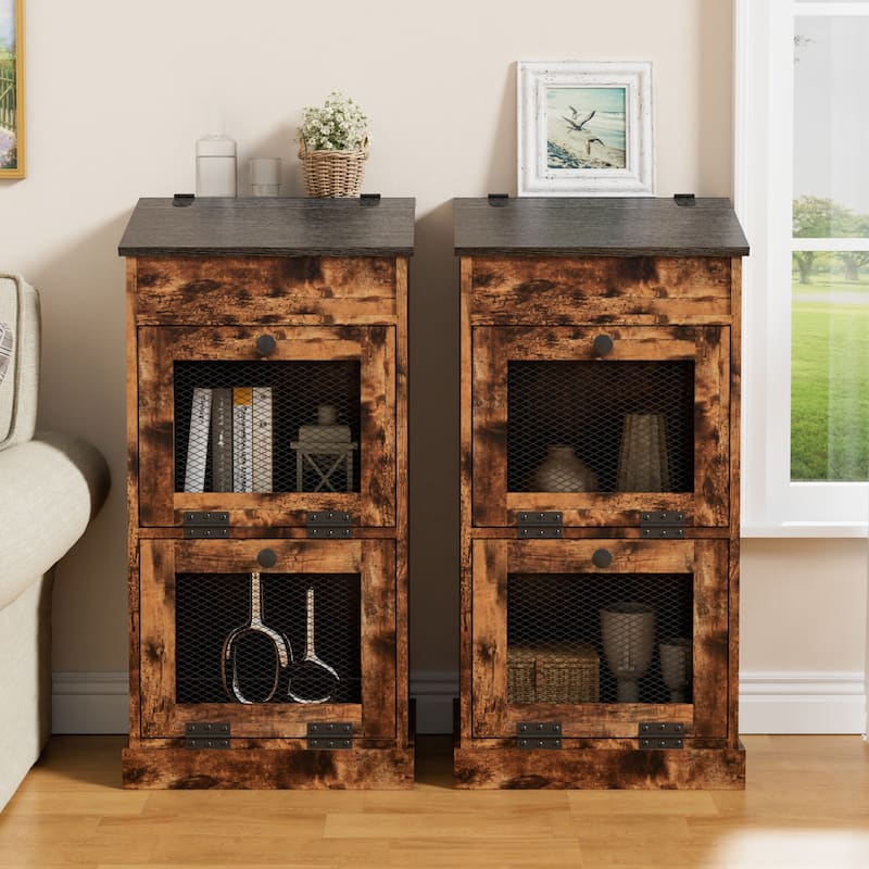 Vintage 2-Door Storage Cabinet Multi-Tier Organizer