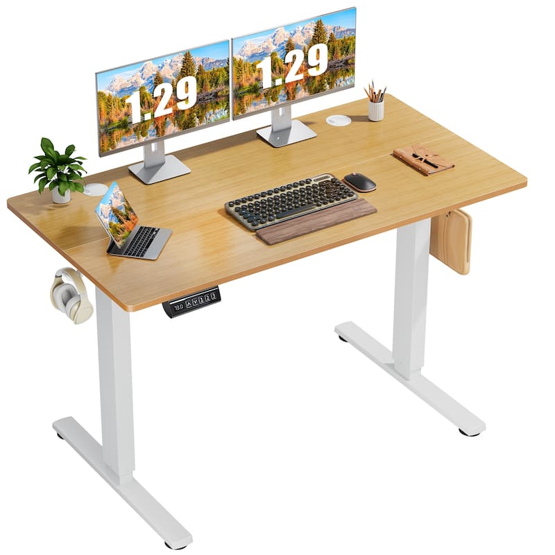Standing Desk Adjustable Height, Electric Sit Stand up Desk for Home Office, Modern Rising Work Table for Computer,Workstation