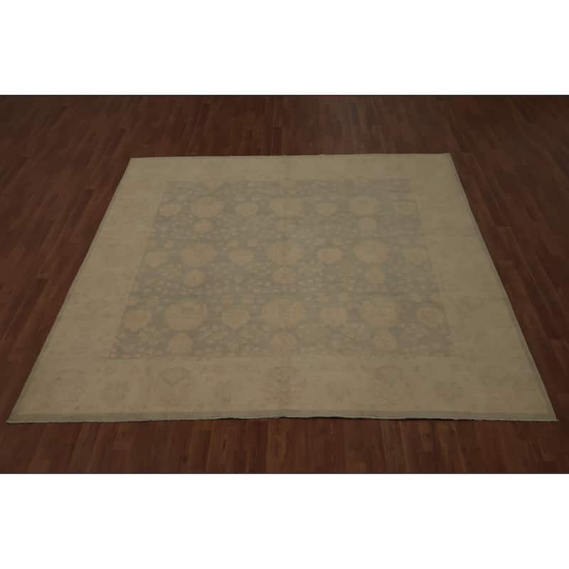 Hand Knotted Oriental 100% Wool Carpet Transitional All-Over Green Oushak Area Rug - 8' 0'' X 8' 2''