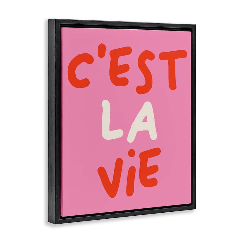 Stupell C'est La Vie on Pink Framed Floater Canvas Wall Art Design By House of Lulu