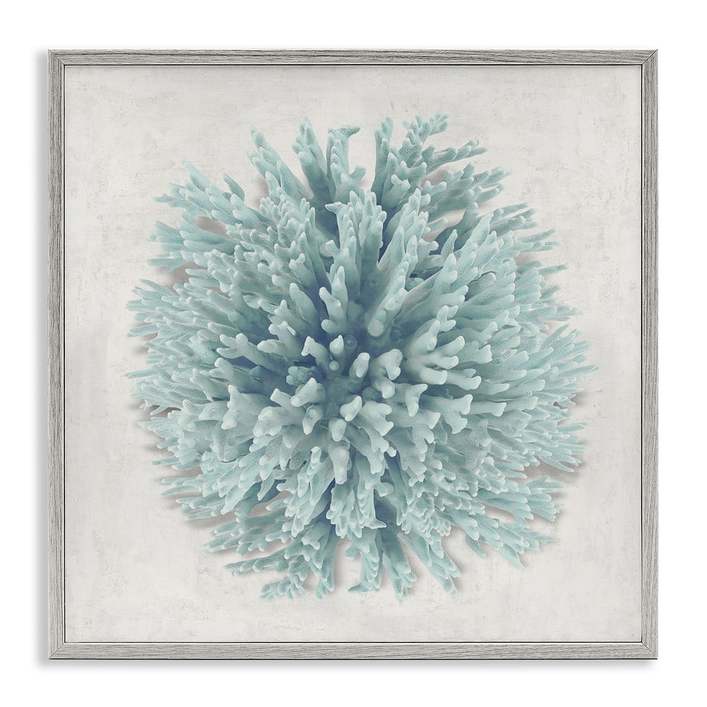 Stupell Coral Ball Blue Sea Beach Design,12 x 12, Framed Wall Art