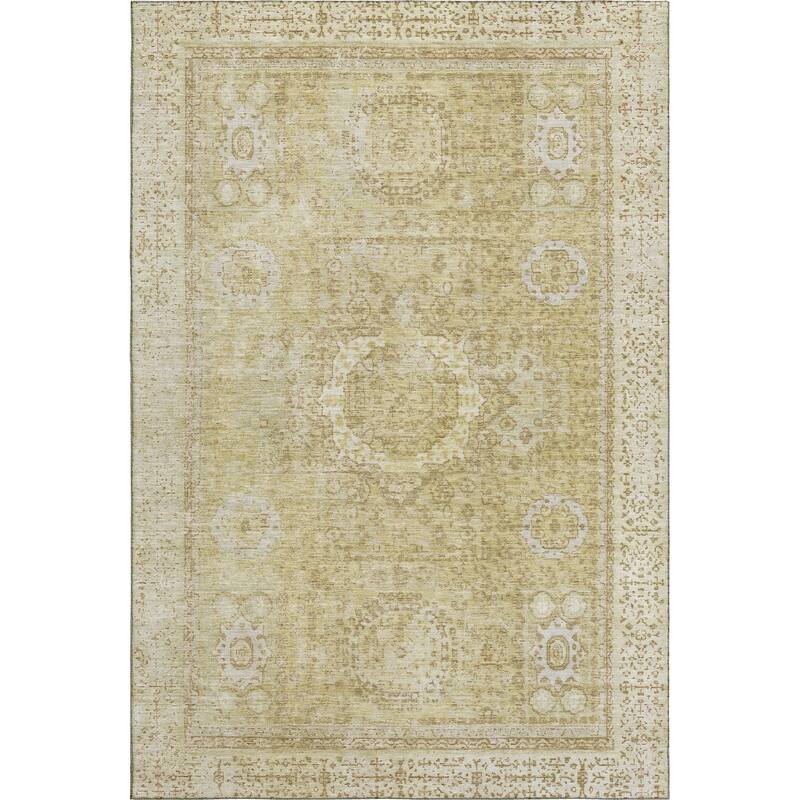 Premium Washable Super Soft Vintage Traditional Mayfield Rug