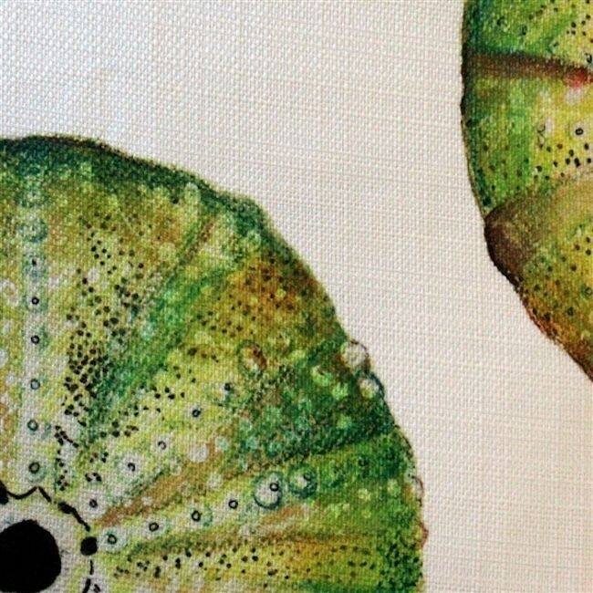 Big Island Sea Urchin Throw Pillow