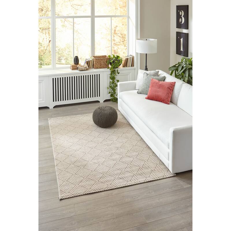 ECARPETGALLERY Machine Woven Laura Indoor/Outdoor Area Rug