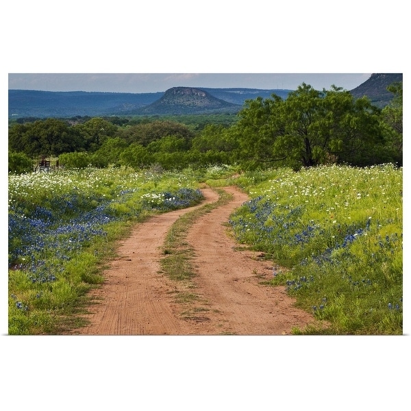 "Wildflowers at dirt road in Texas Hill Country" Poster Print