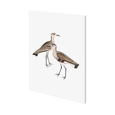 Black Sided Heron (27 x 36) Canvas Art Print