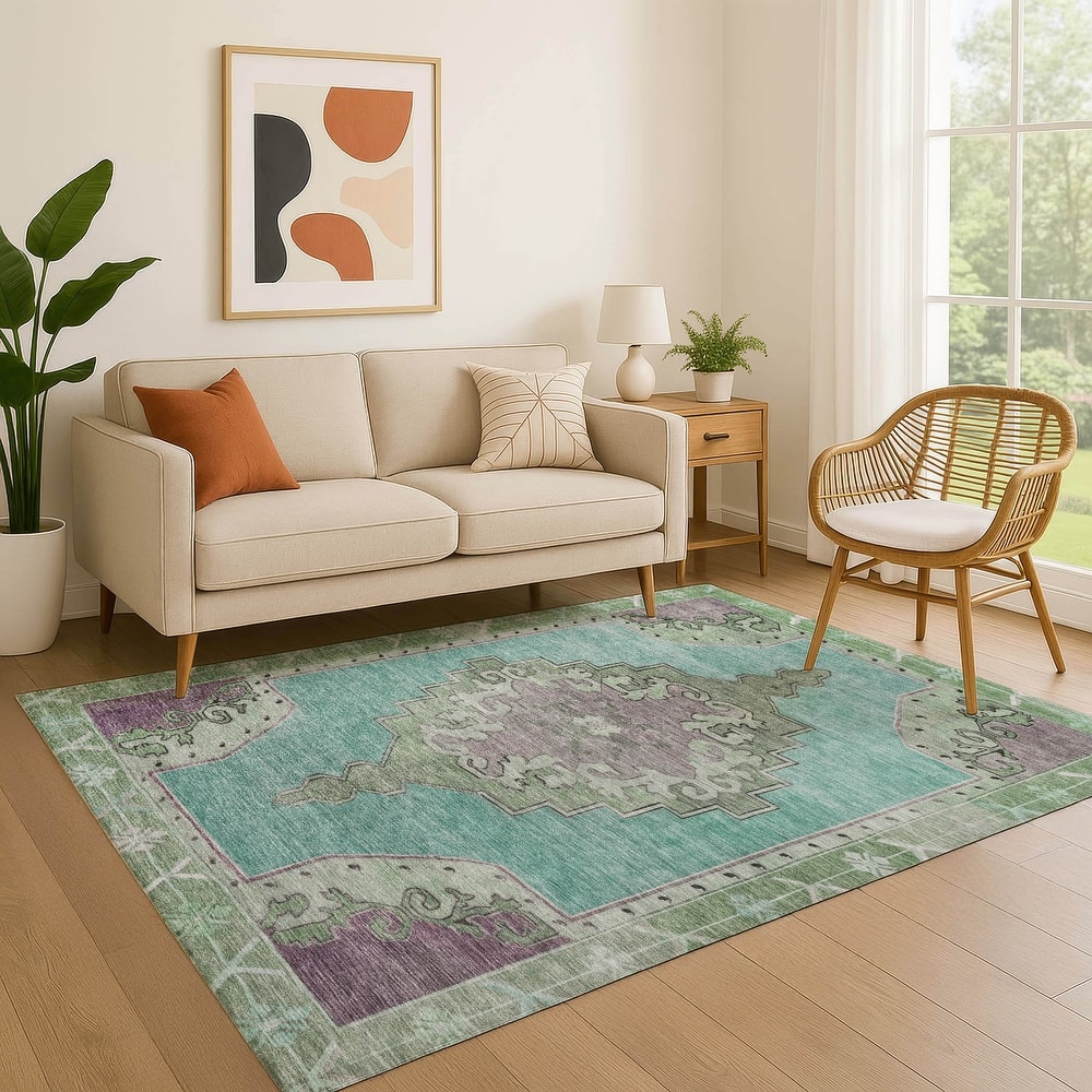 Premium Washable Super Soft Vintage Traditional Mayfield Rug