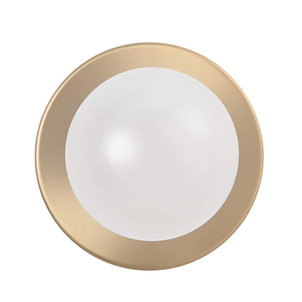 Renwil Dania Wall Sconce