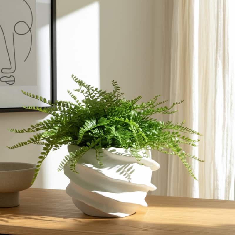 Pottery Planter Sculpted Textured Design Home Garden Decor - 5" White - 7" x 7" x 5.25"