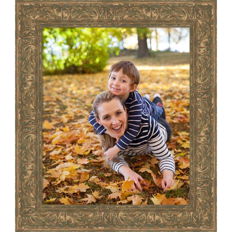 Luxe Picture Frame, Photo Frame - 20x24 - Luxe Bronze Gold